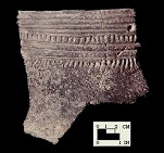 Sullivan Cove mended incised rim sherds (1 of 2) from a Cedar Point shell heap in Anne Arundel County, Maryland - SI Cat. #402922 - Courtesy of the Smithsonian Institution, Museum of Natural History, Department of Anthropology.